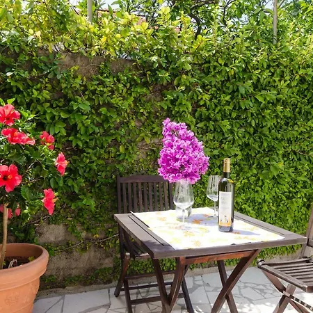 Apartment Wisteria