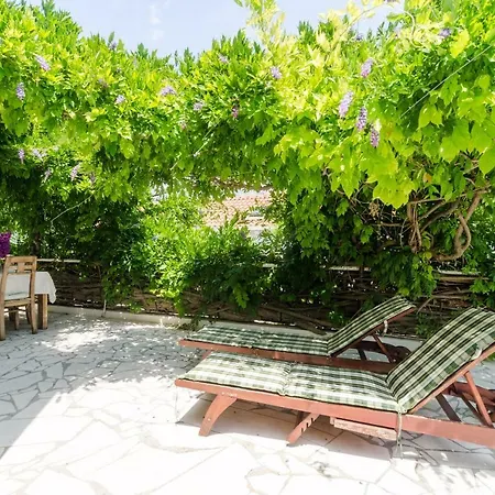 Wisteria 아파트 두브로브니크