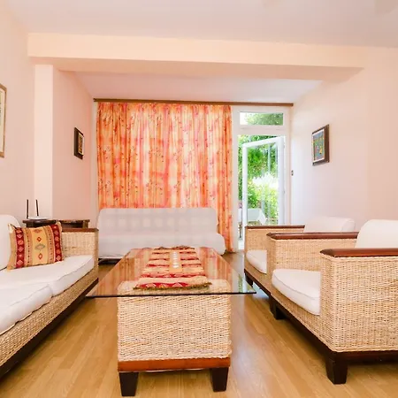 Wisteria 두브로브니크