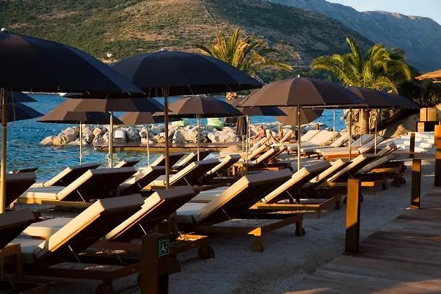 アパート Wisteria