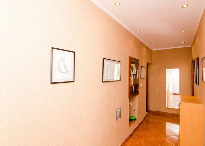 Wisteria * ドゥブロブニク