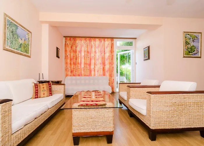 Wisteria ドゥブロブニク