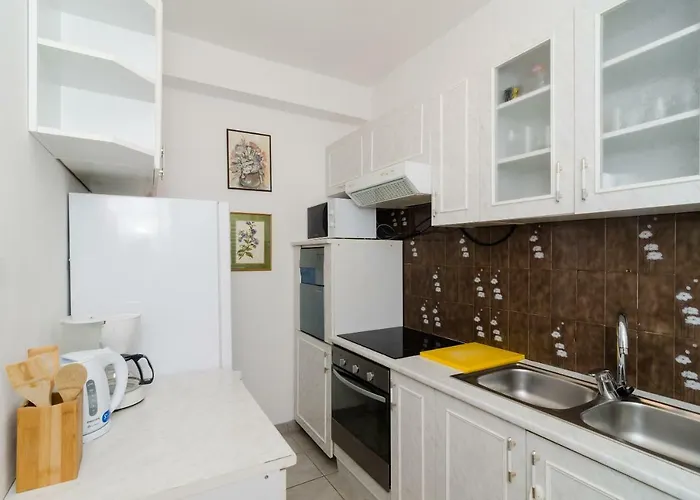 Wisteria * ドゥブロブニク