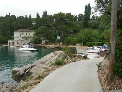 Wisteria * Dubrovnik