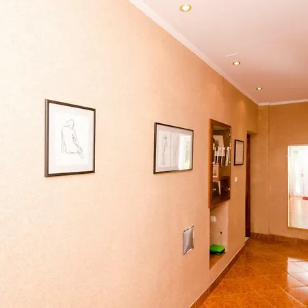 Wisteria * Dubrovnik